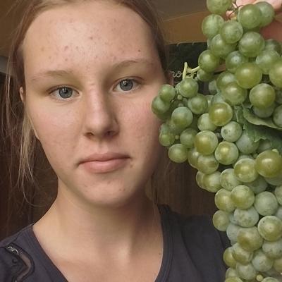 Виноград с нового виноградника