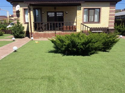 juniperus-mint_julep_3.jpg