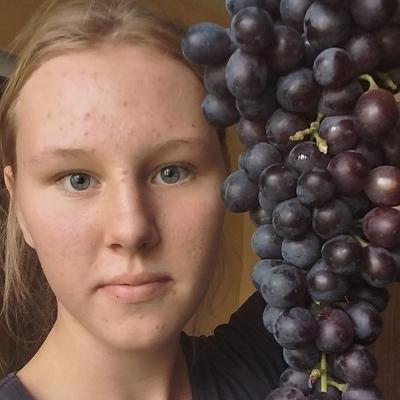 Урожай винограда