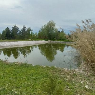 Пруд этой осенью