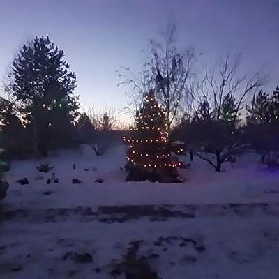 Украшения на Новый год